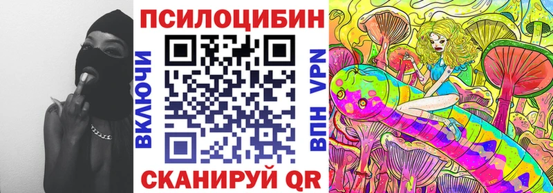 купить наркотик  Троицк  Псилоцибиновые грибы Psilocybe 